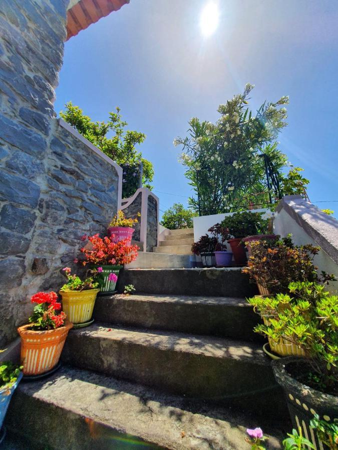 Casa Velha D Fernando E Casa Avo Augusta Hotel Ribeira Brava Buitenkant foto